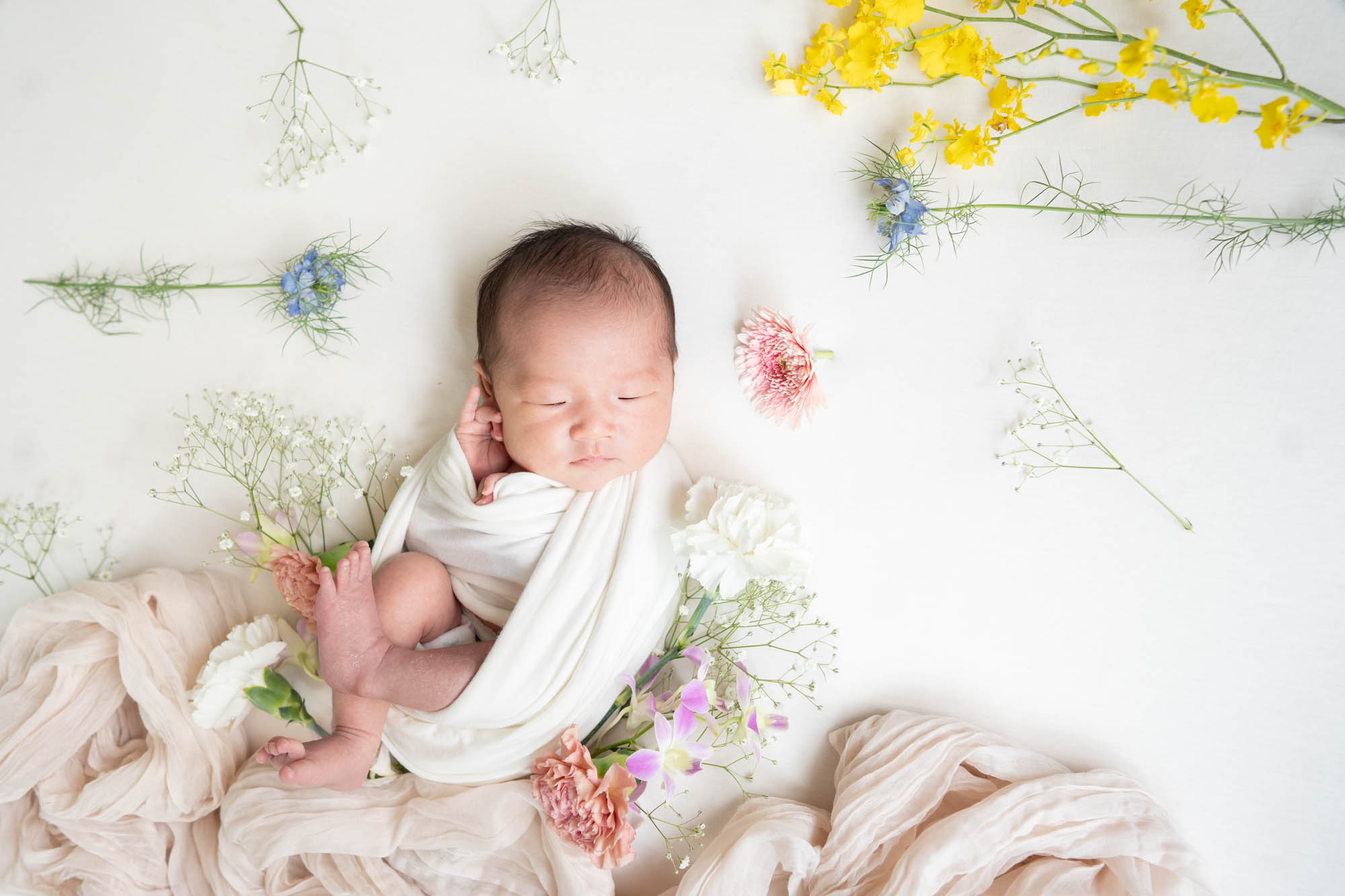 /みらいふぉとスタジオ